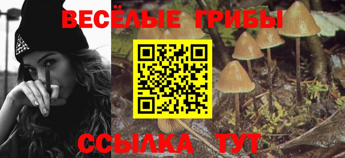 Галлюциногенные грибы ЛСД  Вход с VPN  Псилоцибиновые грибы Cubensis  Электросталь 