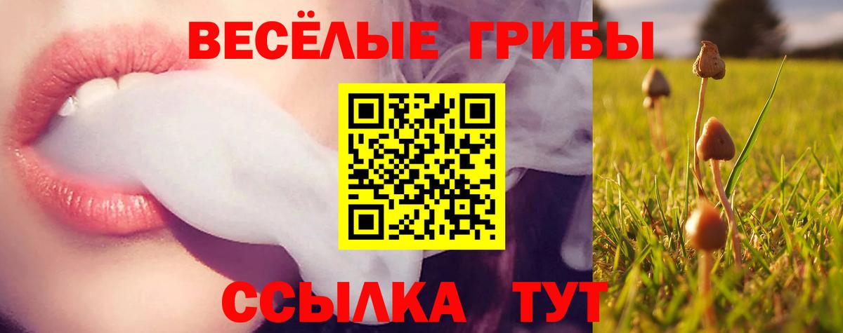 Псилоцибиновые грибы MAGIC MUSHROOMS Электросталь